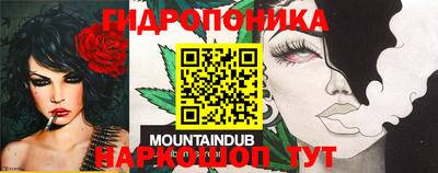 индика Ярославль