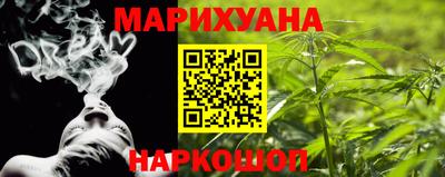 индика Ярославль